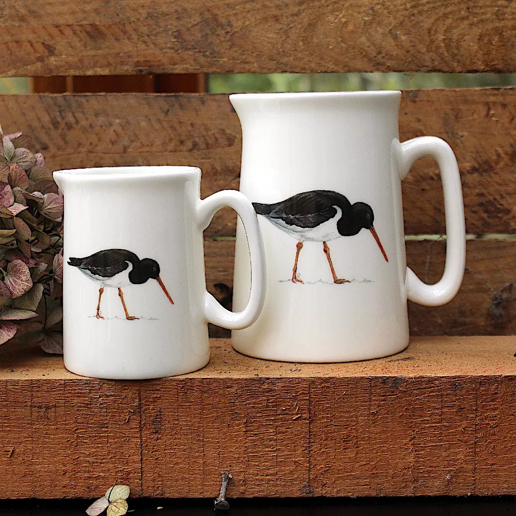 1Oystercatcher jugs sharp2024