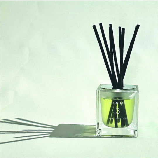 3. Citrus / Oceanic Fragrance Diffuser