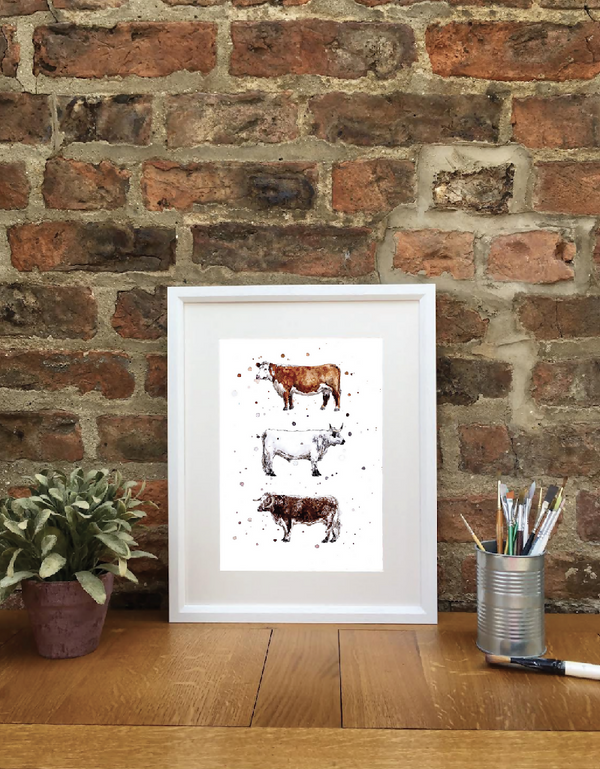 Native Cattle| Signed Limited Edition Print