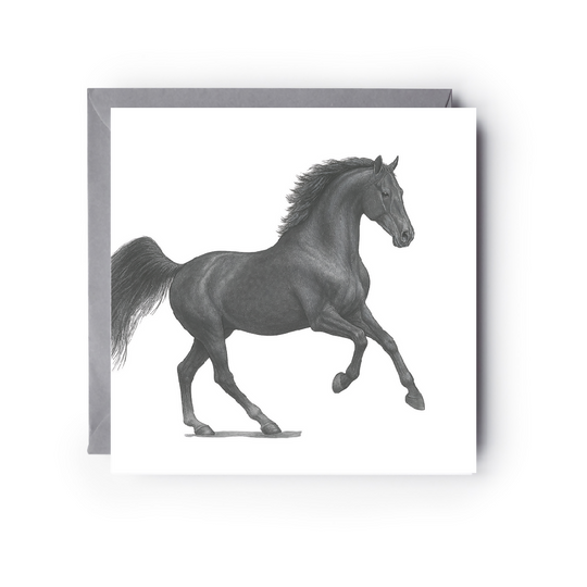 Magestic Dark Knight Horse Greeting Card