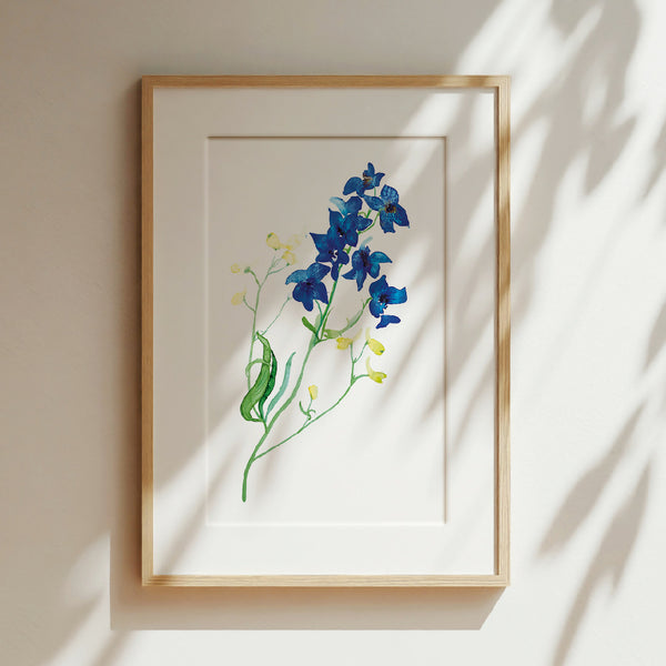 Delphinium Watercolour Giclée Fine Art Print