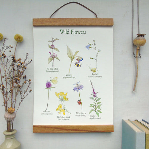 wild flower canvas