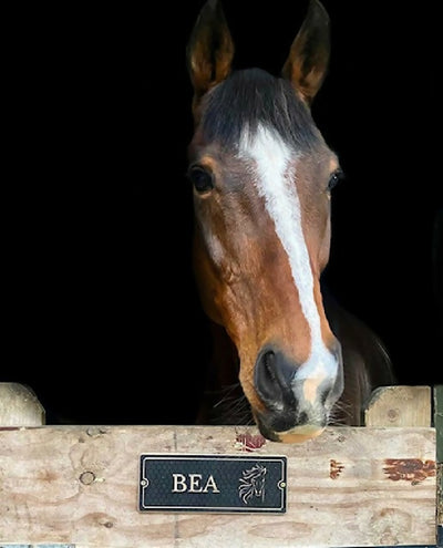 Wooden Engraved Stable Name Plaque