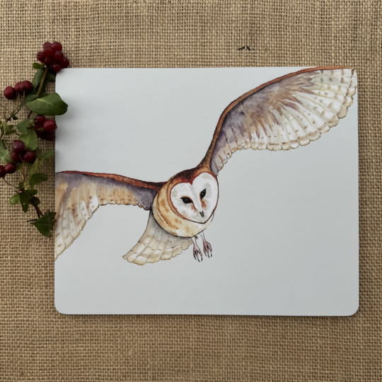 Barn Owl Placemat