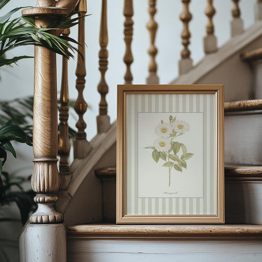 Marguerite Watercolor Illustration, Botanical Collection Print