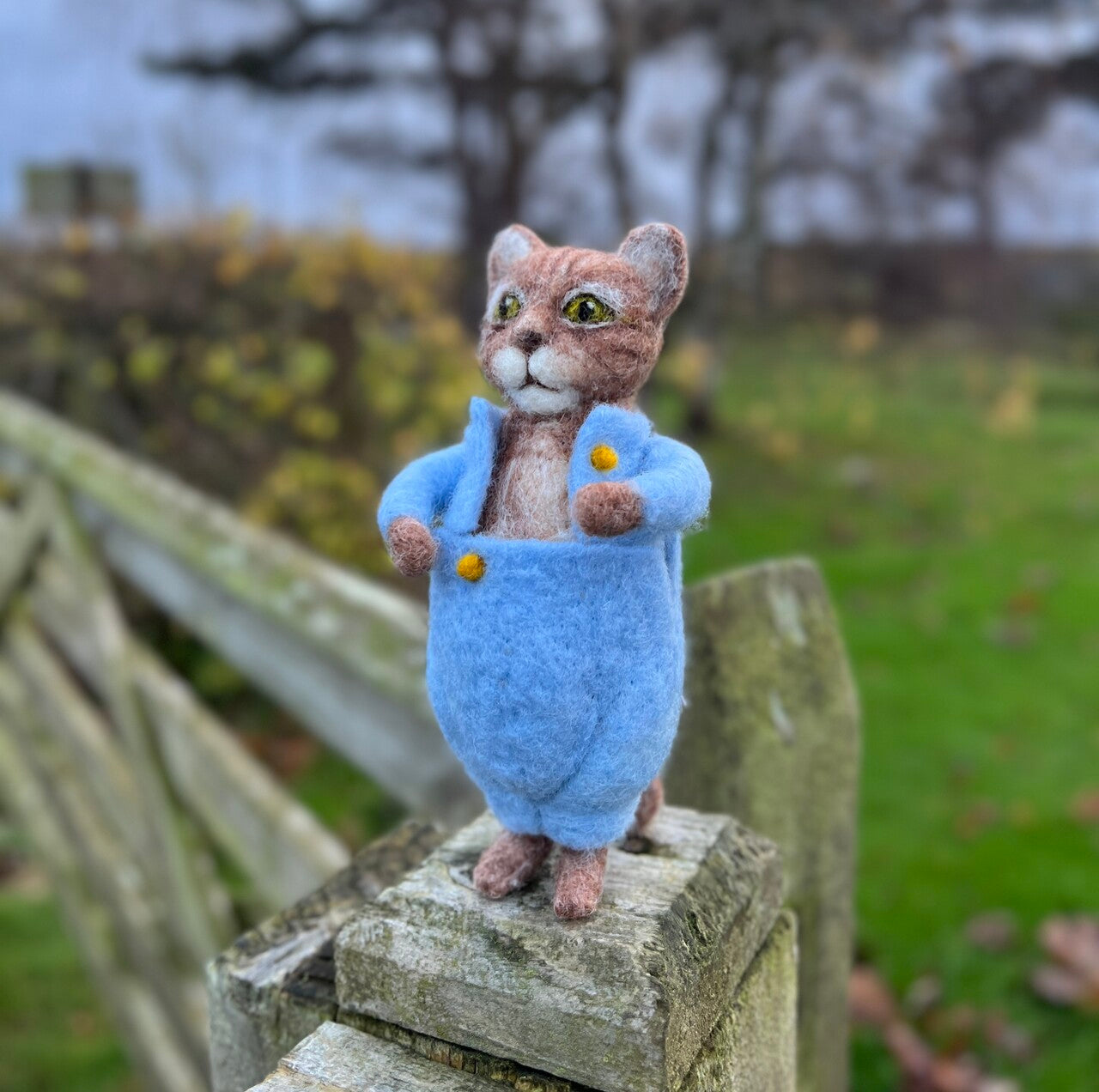 Tom Kitten Needle Felting Kit