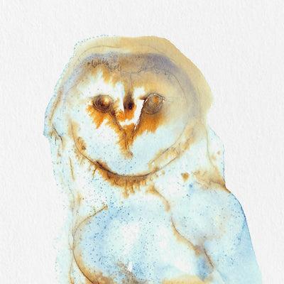 Barn Owl Ink & Watercolour Giclée Fine Art Print