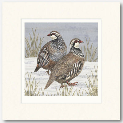 Partridge Signed and Mounted Giclée Art Print