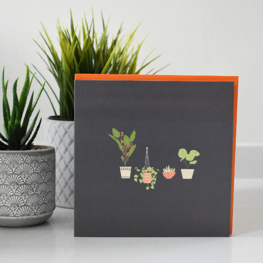 Square Greeting Card Potted Plants Charcoal Grey