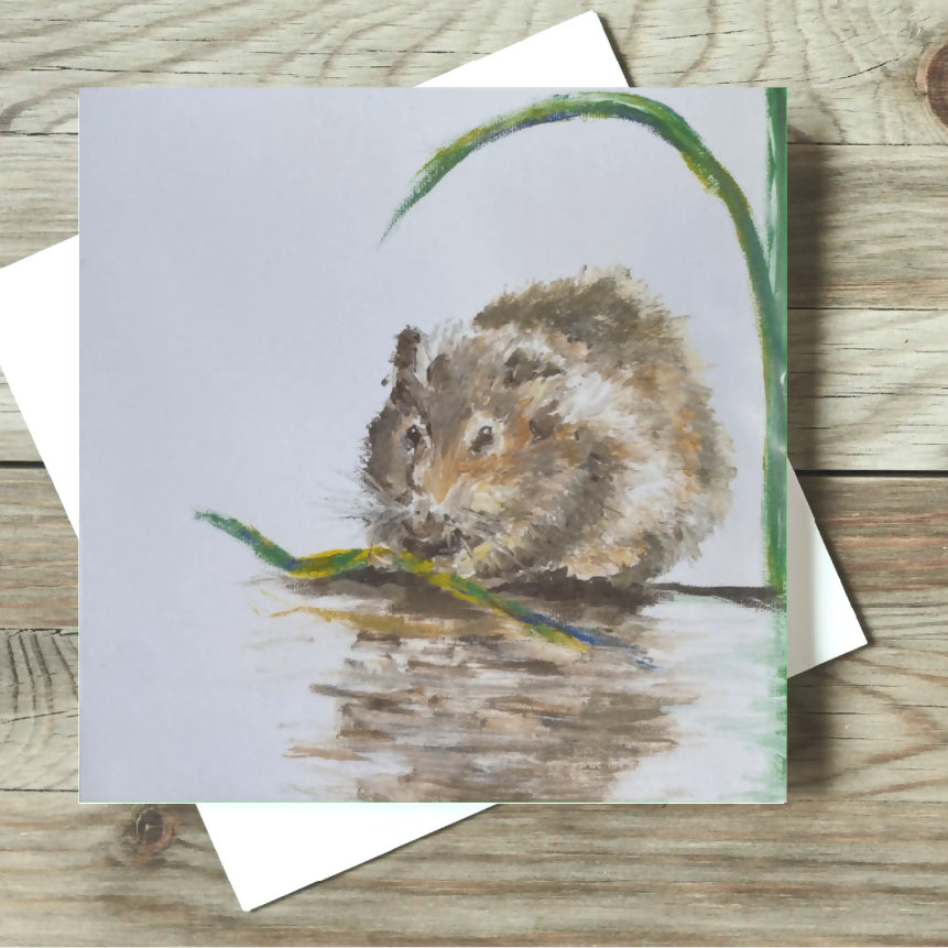 Water Vole Card