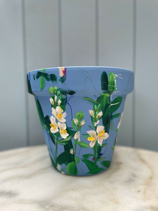 Snap Dragon Collection - Hand Painted Interior Terracotta Plant Pot