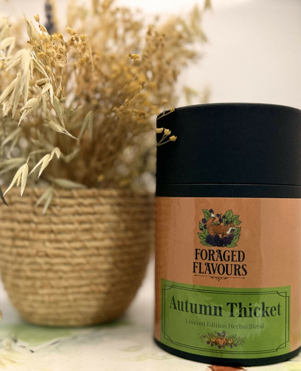 Autumn Thicket