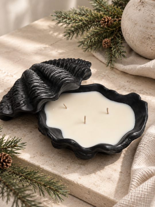 Handmade Giant Clam Shell Candle fragranced with Christmas Tree
