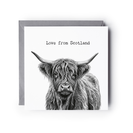 Love From Scotland Highand Coo Greeting Card
