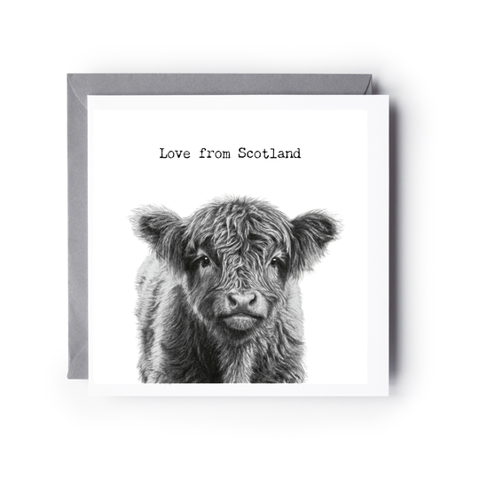 Love From Scotland Highland Coo Calf Greeting Card