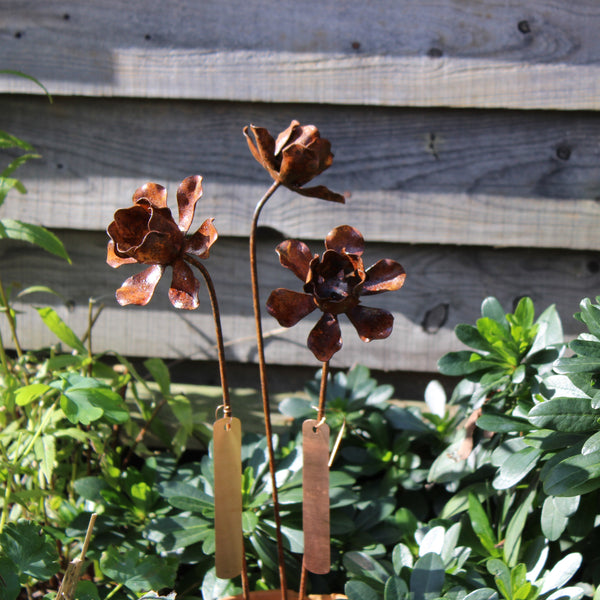 Daffodil Flower Stake/ Bulb Marker with Copper Label. Garden Gift. Set of three