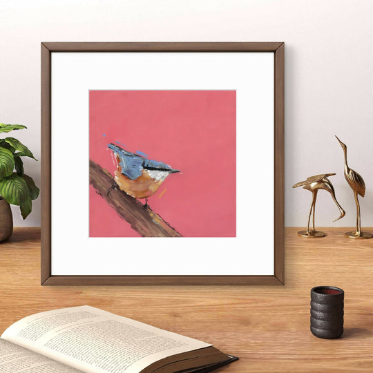 Curious Climber Nuthatch Giclee Fine Art Print with Coral Pink Background