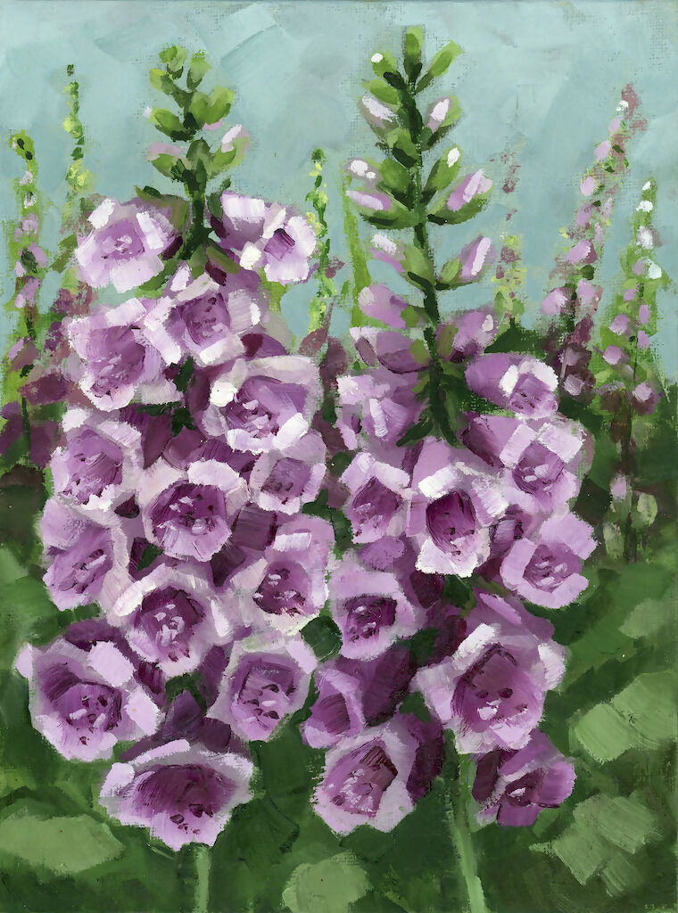 Foxgloves Fine Art Print