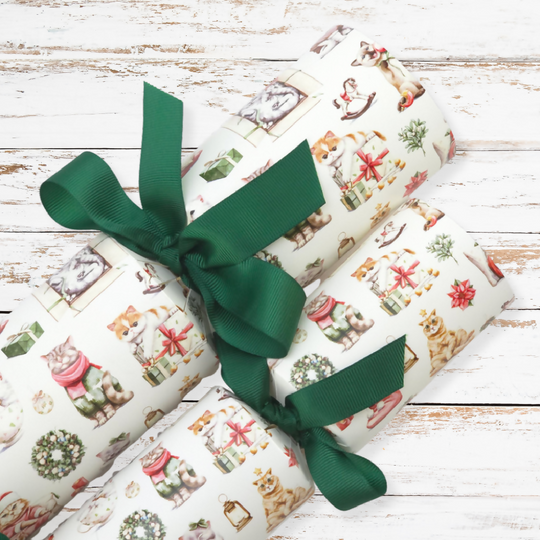 Cute Christmas Cats | Cracker Making Craft Kit | Make & Fill Your Own