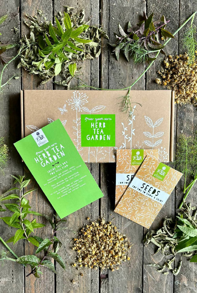 Grow Your Own Herbal Tea Garden