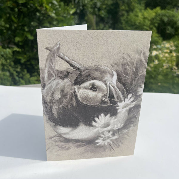 Puffin Greeting Card
