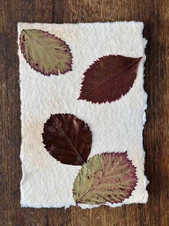 Vintage Style Autumn Themed Handcrafted Leaf Collage