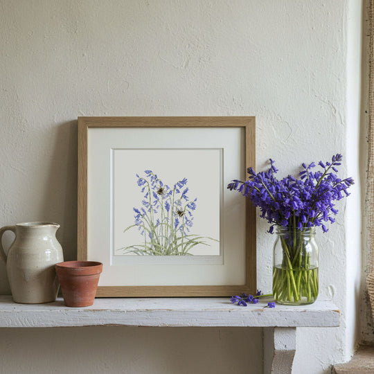 Bluebell Signed and Mounted Giclée Art Print