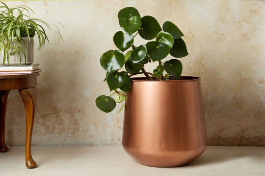 Tamra Copper Floor Planter