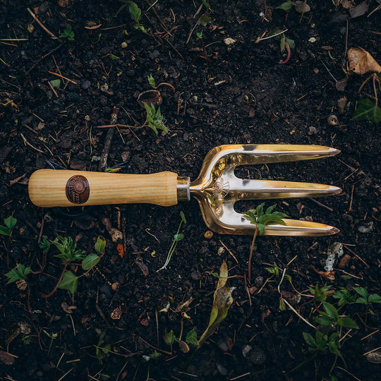 Vega - Hand Fork