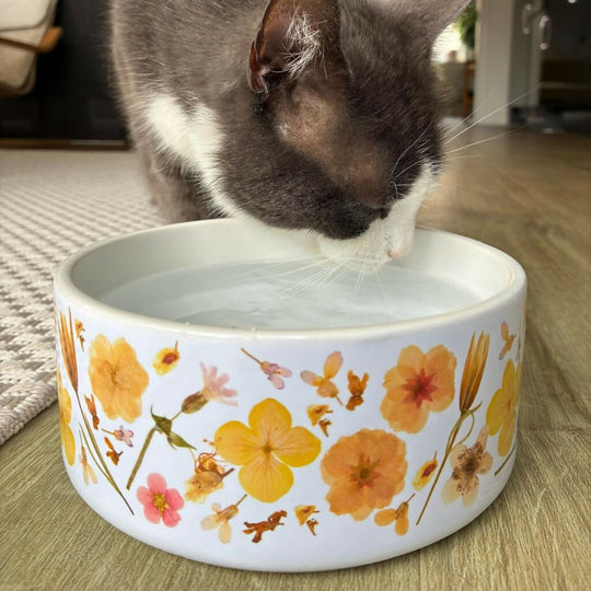 Floral Ceramic Dog & Cat Bowl