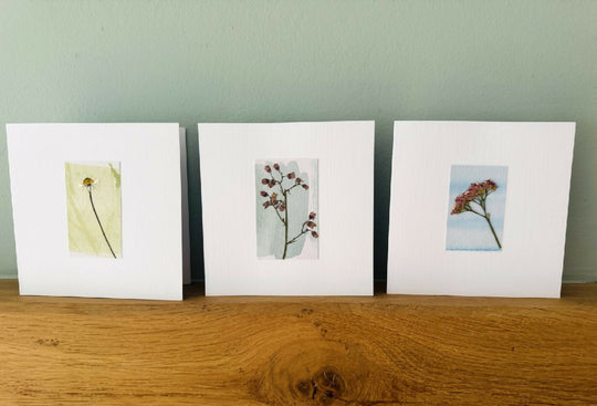 Set of 3 handmade real pressed flower cards