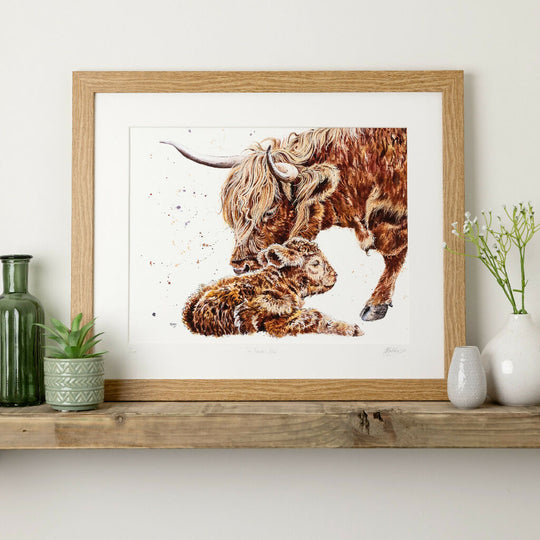 Highland Cow Limited Edition Print 'A Tender Moo' | Jina Gelder Illustration