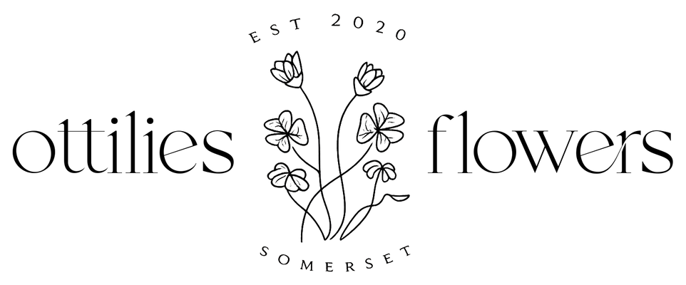 Ottilies Flowers