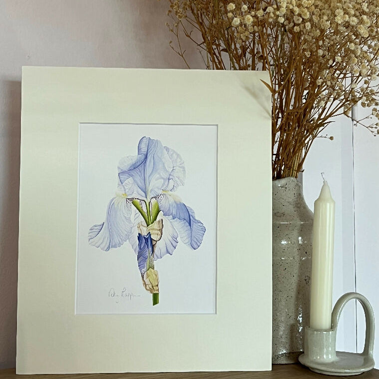 Iris Flower Print