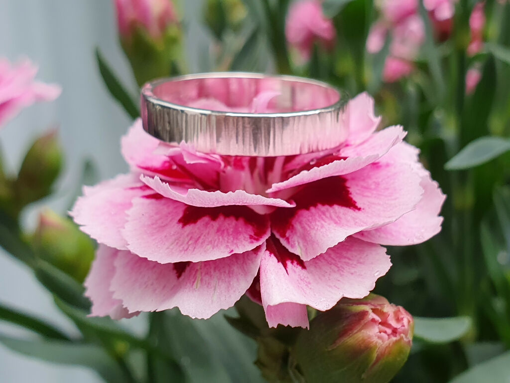 The Forest | Statement Sterling Silver Ring