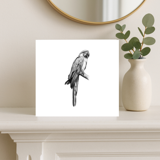Parrot Greeting Card