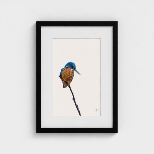Kingfisher Print
