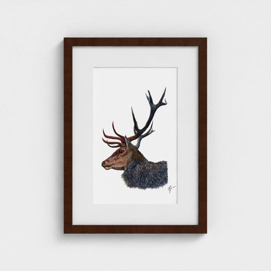 Stag Print
