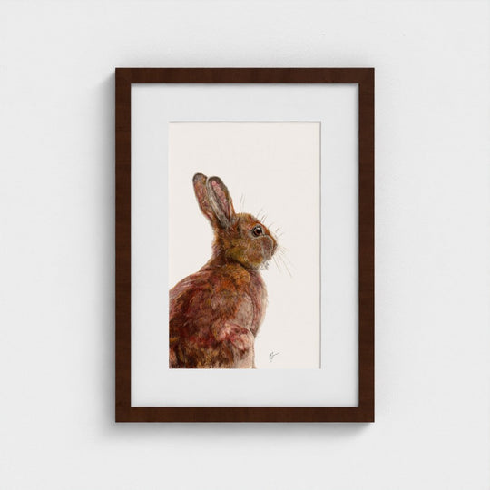 Hare Art Print