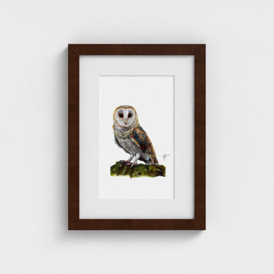 Barn Owl Print