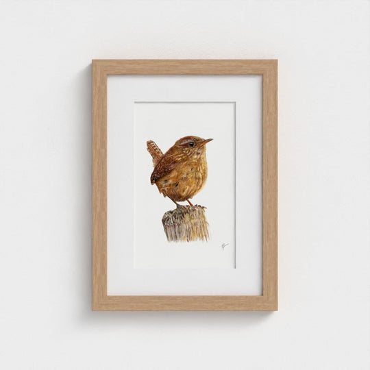 Wren Print