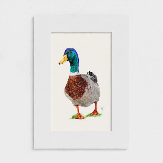 Duck Print