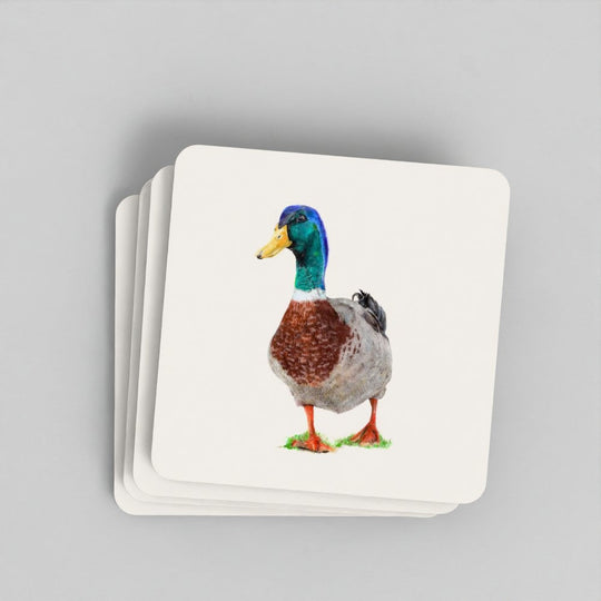 Duck Coaster Set - British Wildlife Art