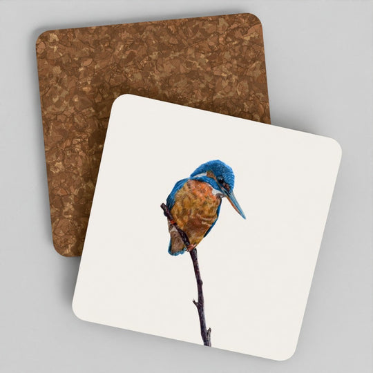 Kingfisher Coaster Set - British Wildlife Art