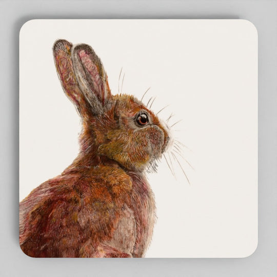 Hare Coaster Set - British Wildlife Art