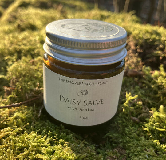 Daisy Salve with Arnica