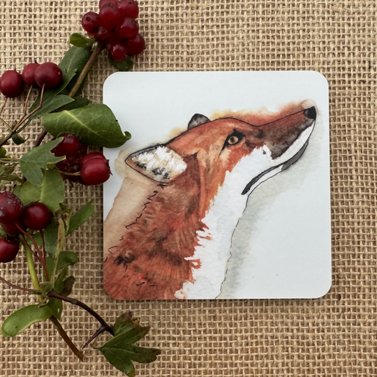 Fox Coaster