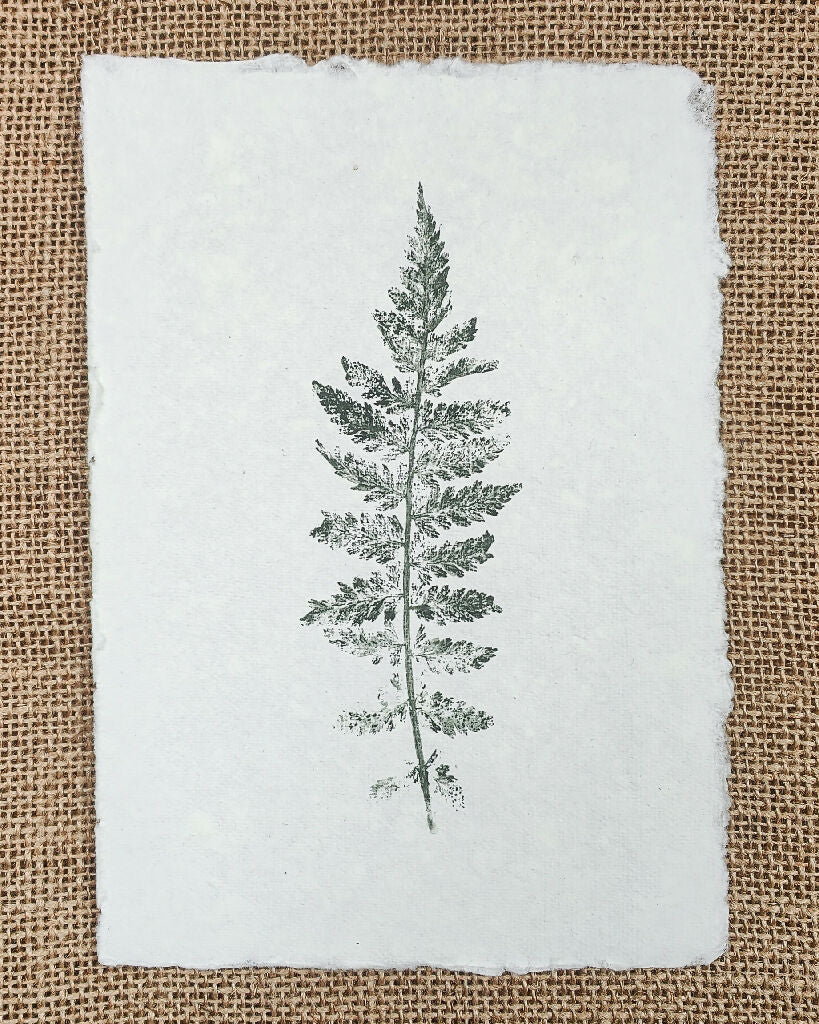 Set of 3 Original Fern Leaf Prints