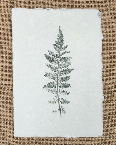 Set of 3 Original Fern Leaf Prints