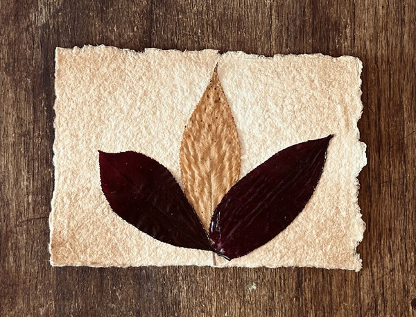 Landscape Autumn Themed Vintage Style Leaf Collage